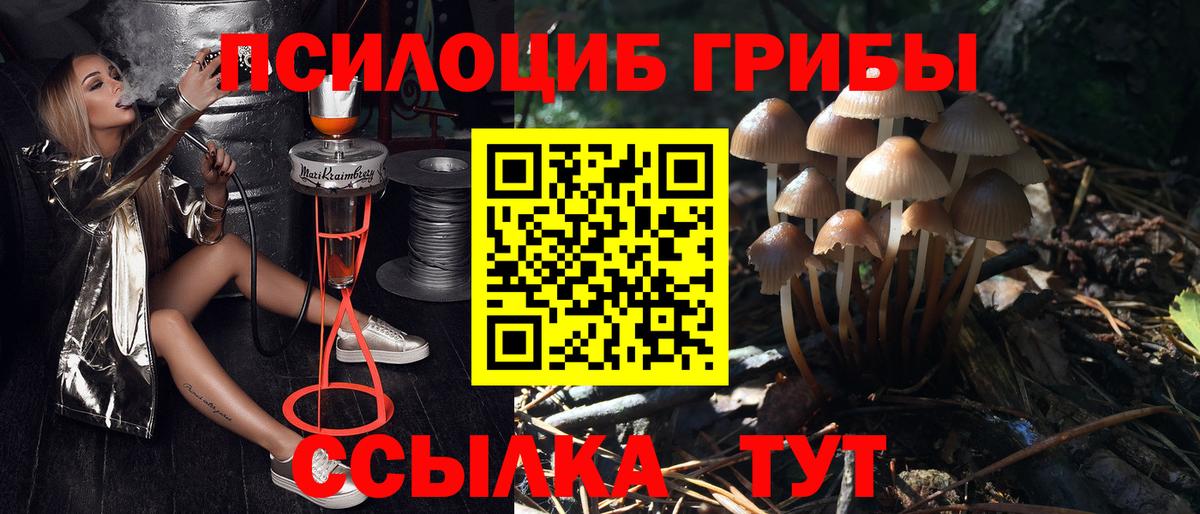 Галлюциногенные грибы Magic Shrooms Великий Новгород
